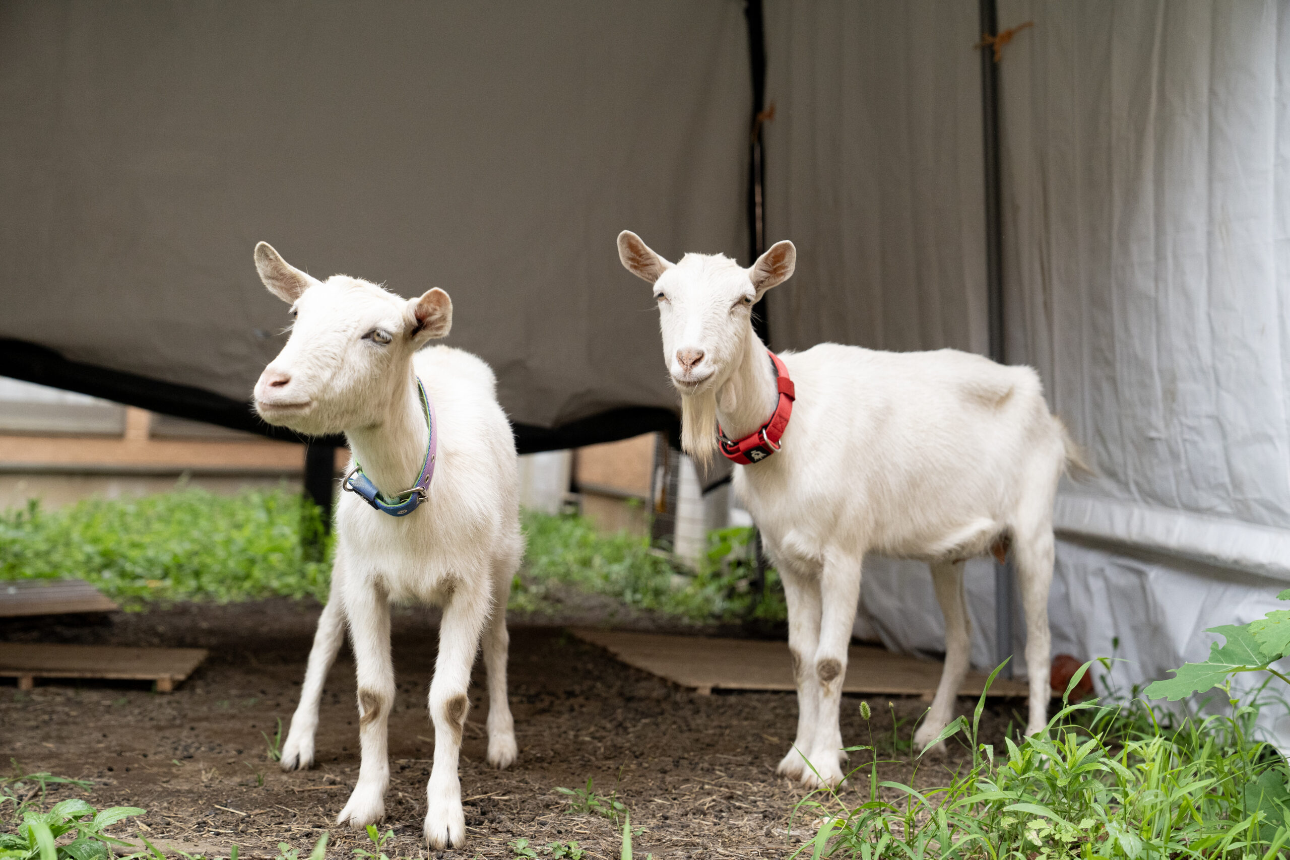 いつも馴染みの看護師さんがそばにいてくれる安心感