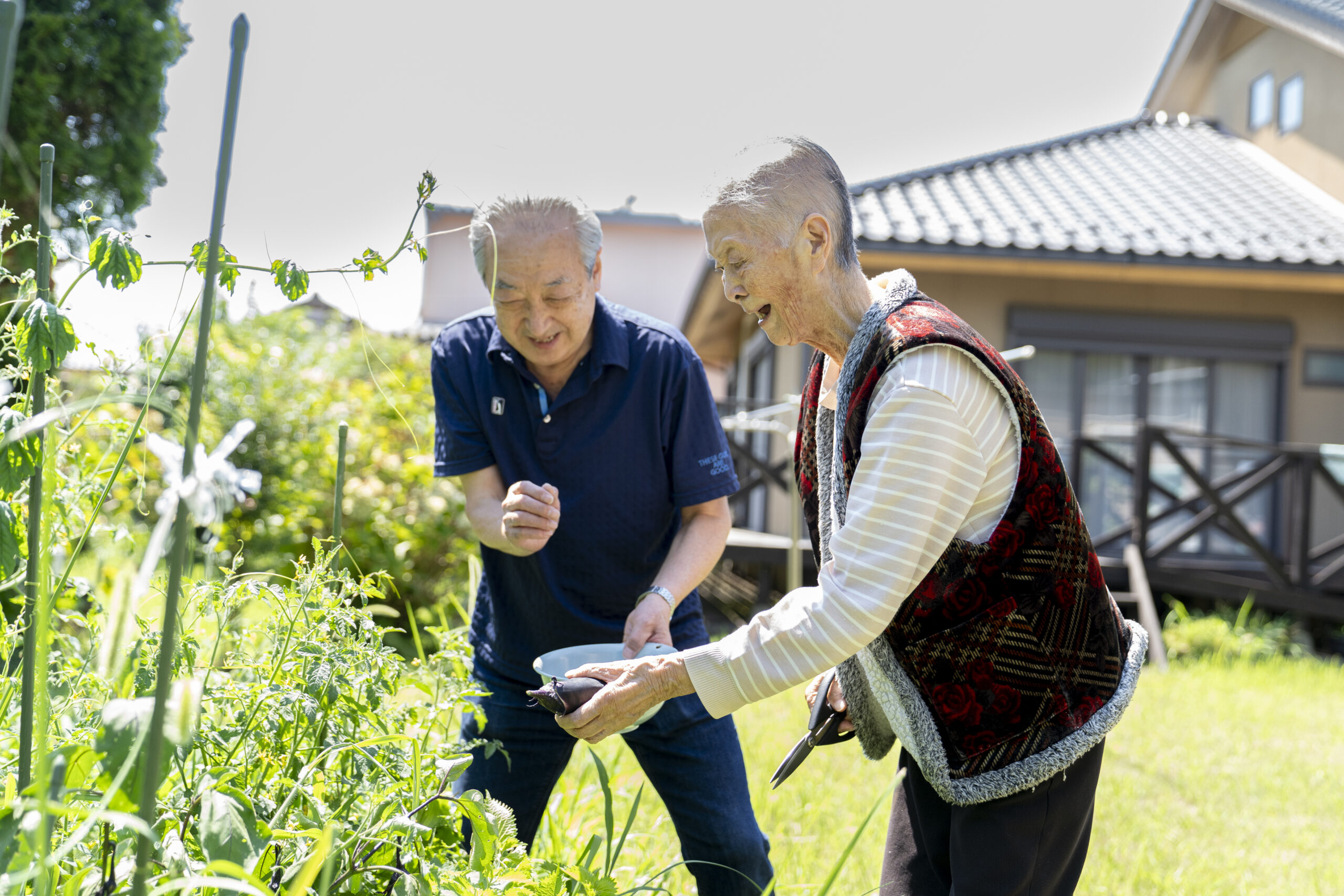 自然に囲まれた暮らしと家庭菜園