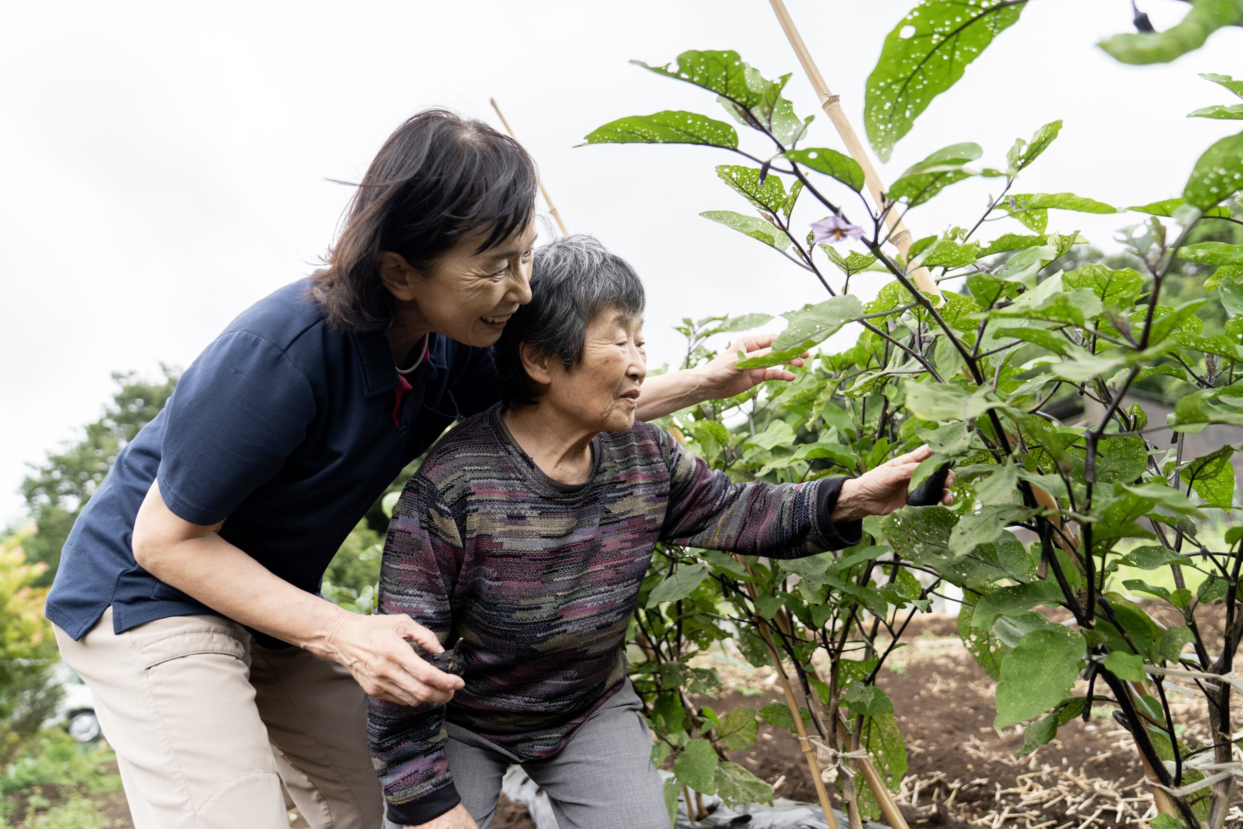 笑顔ひろがる四季折々の行事